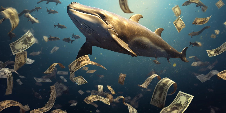 در حالی که بیت کوین در تلاش برای بازیابی بود، نهنگ ها بیشترین خرید را از این کدام آلت کوین ها کردند؟