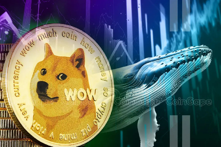 بازگشت قدرتمند DOGE؛ آیا رالی قیمت ادامه خواهد داشت؟