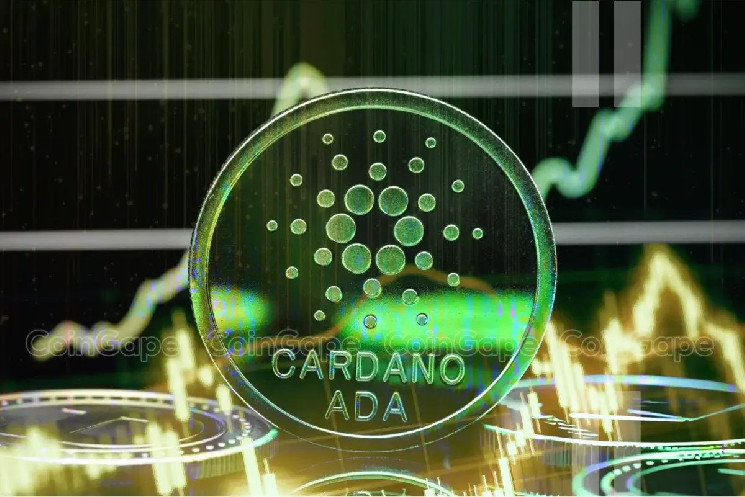 با ظاهر شدن پرچم خریدار، قیمت Cardano به اوج های جدید رسید و افزایش یافت.