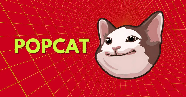 چشم به رالی 50٪،POPCAT تثبیت را می شکند.