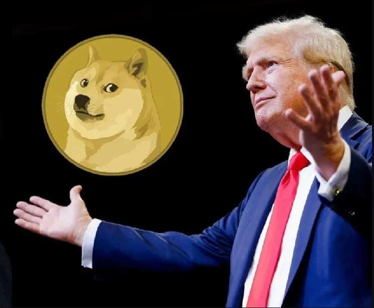 ایلان ماسک! قیمت Dogecoin (DOGE) افزایش یافت!