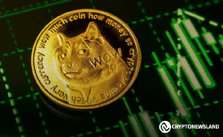 صعود Dogecoin؛ فرصتی برای جهش بزرگ ۸۰ درصدی؟