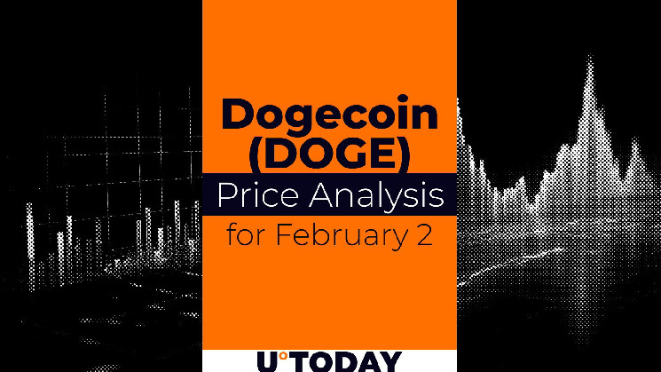 15 بهمن 1403: پیش بینی قیمت Doge