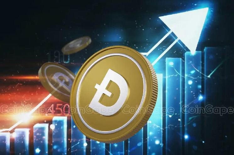 استراتژی جدید شرکت‌ها؛ انباشت Dogecoin و پیش‌بینی رشد ۳۰۰ درصدی