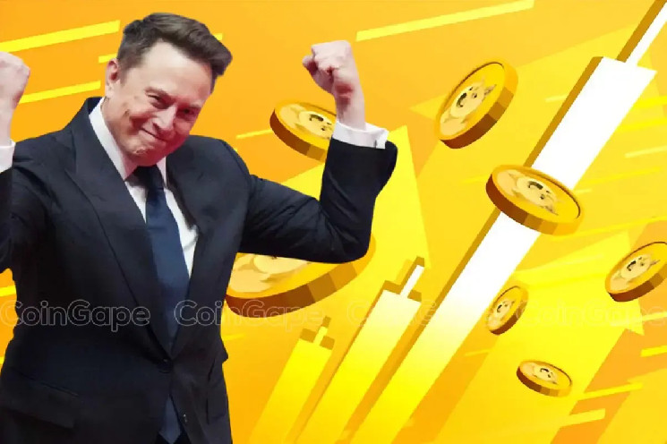 افشای برنامه‌های مهم؛ سایت Doge Elon Musk چه چیزی در راه دارد؟