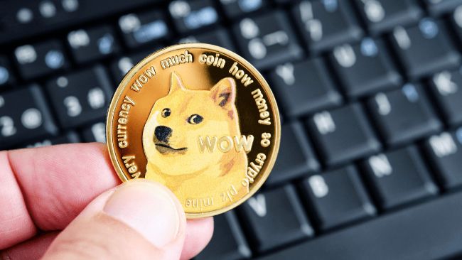 "افت چشمگیر فعالیت شبکه Dogecoin؛ ۹۵٪ کاهش، چه انتظاری داریم؟"