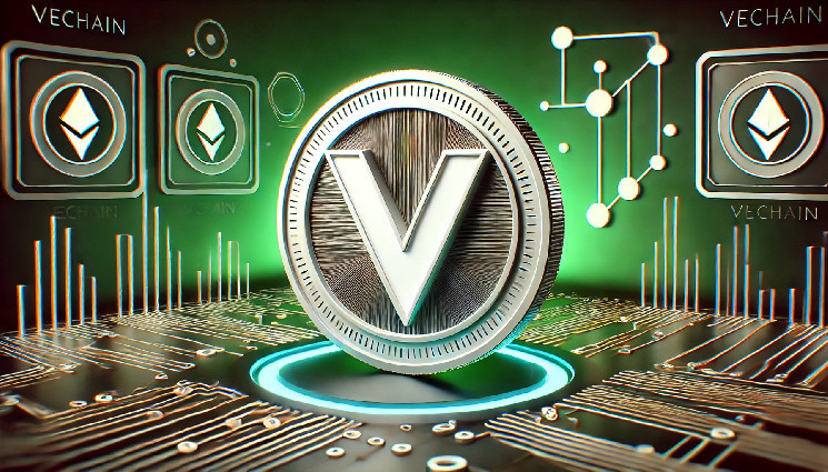 تغییر چشم‌انداز در اکوسیستم Vechain؛ Venus GM NFT حالا عضو Vebetterdao است