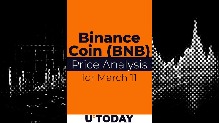 پیش بینی قیمت سکه Binance (BNB) برای (22 اسفند 1403)